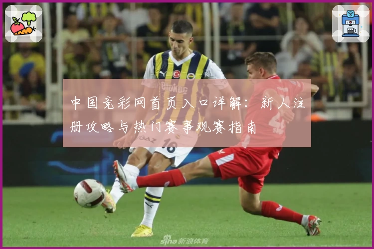 中国竞彩网首页入口详解：新人注册攻略与热门赛事观赛指南