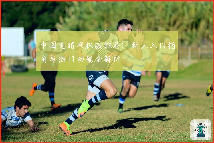 中国竞猜网权威推荐：新人入门指南与热门功能全解析